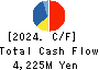 FreeBit Co.,Ltd. Cash Flow Statement 2024年4月期