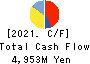 Nippon Piston Ring Co., Ltd. Cash Flow Statement 2021年3月期