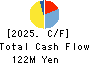 True Data Inc. Cash Flow Statement 2025年3月期