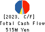 SHINTO COMPANY LIMITED Cash Flow Statement 2023年6月期