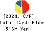 Shikino High-Tech CO.,LTD. Cash Flow Statement 2024年3月期
