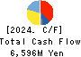 TAYCA CORPORATION Cash Flow Statement 2024年Mar期 TAYCA CORPORATION Cash Flow Statement 2024年3月期