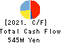 TOKATSU HOLDINGS CO.,LTD. Cash Flow Statement 2021年3月期