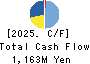 HAVIX CORPORATION Cash Flow Statement 2025年Mar期 HAVIX CORPORATION Cash Flow Statement 2025年3月期