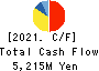 Nippon Chemical Industrial Co.,Ltd. Cash Flow Statement 2021年3月期