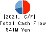 SHINPO CO.,LTD. Cash Flow Statement 2021年6月期