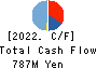 BESTERRA CO.,LTD Cash Flow Statement 2022年1月期
