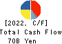 NOK CORPORATION Cash Flow Statement 2022年3月期