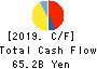 TOYODA GOSEI CO.,LTD. Cash Flow Statement 2019年3月期