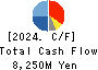 TENMA CORPORATION Cash Flow Statement 2024年Mar期 TENMA CORPORATION Cash Flow Statement 2024年3月期