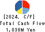 GreenEnergy & Company Inc. Cash Flow Statement 2024年4月期