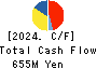 Fabrica Holdings Co., Ltd. Cash Flow Statement 2024年Mar期 Fabrica Holdings Co., Ltd. Cash Flow Statement 2024年3月期