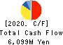TEIKOKU SEN-I Co.,Ltd. Cash Flow Statement 2020年12月期