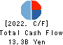 Mitsui DM Sugar Holdings Co.,Ltd. Cash Flow Statement 2022年3月期