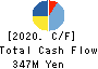 Encourage Technologies Co.,Ltd. Cash Flow Statement 2020年3月期