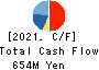 WASEDA GAKUSHUKENKYUKAI CO.,LTD. Cash Flow Statement 2021年3月期