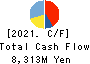 The Shibusawa Warehouse Co.,Ltd. Cash Flow Statement 2021年3月期