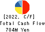 Excite Holdings Co.,Ltd. Cash Flow Statement 2022年Mar期 Excite Holdings Co.,Ltd. Cash Flow Statement 2022年3月期
