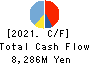 TAKAOKA TOKO CO., LTD. Cash Flow Statement 2021年3月期