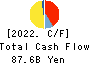 TAIHEIYO CEMENT CORPORATION Cash Flow Statement 2022年3月期