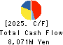 Skymark Airlines Inc. Cash Flow Statement 2025年Mar期 Skymark Airlines Inc. Cash Flow Statement 2025年3月期