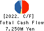 NSD CO., LTD. Cash Flow Statement 2022年3月期