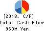 TANABE CONSULTING GROUP CO.,LTD. Cash Flow Statement 2018年Mar期 TANABE CONSULTING GROUP CO.,LTD. Cash Flow Statement 2018年3月期