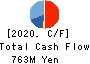 TANAKEN Cash Flow Statement 2020年3月期