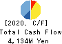 Gamecard-Joyco Holdings,Inc. Cash Flow Statement 2020年3月期