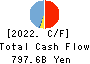 Daishi Hokuetsu Financial Group,Inc. Cash Flow Statement 2022年3月期