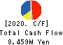 HIRATA Corporation Cash Flow Statement 2020年3月期