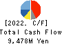 Ai Holdings Corporation Cash Flow Statement 2022年6月期