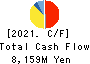 AICHI ELECTRIC CO.,LTD. Cash Flow Statement 2021年Mar期 AICHI ELECTRIC CO.,LTD. Cash Flow Statement 2021年3月期