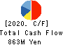 Nippon Crucible Co.,Ltd. Cash Flow Statement 2020年3月期