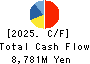 GECOSS CORPORATION Cash Flow Statement 2025年3月期