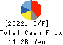 Sumitomo Seika Chemicals Company, Limite Cash Flow Statement 2022年3月期