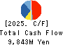 HIRATA Corporation Cash Flow Statement 2025年Mar期 HIRATA Corporation Cash Flow Statement 2025年3月期