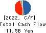 Lacto Japan Co., Ltd. Cash Flow Statement 2022年11月期