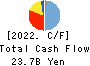 FUJITSU GENERAL LIMITED Cash Flow Statement 2022年Mar期 FUJITSU GENERAL LIMITED Cash Flow Statement 2022年3月期