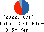 FHT holdings Corp. Cash Flow Statement 2022年12月期