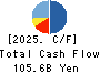 NEC Capital Solutions Limited Cash Flow Statement 2025年3月期