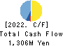 Cyber Com Co.,Ltd. Cash Flow Statement 2022年12月期