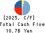 AIZAWA SECURITIES GROUP CO.,LTD. Cash Flow Statement 2025年3月期