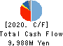 NAKANO CORPORATION Cash Flow Statement 2020年3月期