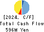 Yamadai Corporation Cash Flow Statement 2024年3月期