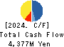 AMBITION DX HOLDINGS Co., Ltd. Cash Flow Statement 2024年Jun期 AMBITION DX HOLDINGS Co., Ltd. Cash Flow Statement 2024年6月期