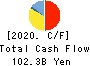 The Ogaki Kyoritsu Bank, Ltd. Cash Flow Statement 2020年3月期