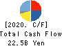 Nishimoto Co.,Ltd. Cash Flow Statement 2020年12月期