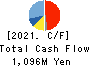 KIKUSUI HOLDINGS CORPORATION Cash Flow Statement 2021年Mar期 KIKUSUI HOLDINGS CORPORATION Cash Flow Statement 2021年3月期