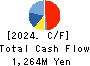 KIKUSUI HOLDINGS CORPORATION Cash Flow Statement 2024年3月期